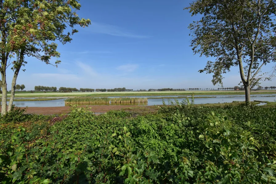 ferienhaus-kaufen-niederlande-012