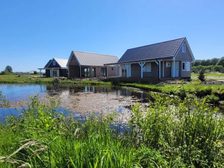 Ferienhaus Holland kaufen 005 - Haus kaufen in Schoonloo - Ferienhaus kaufen in Drenthe (2472)