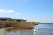 Ferienhaus Holland kaufen 011