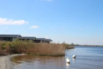 Ferienhaus Holland kaufen005