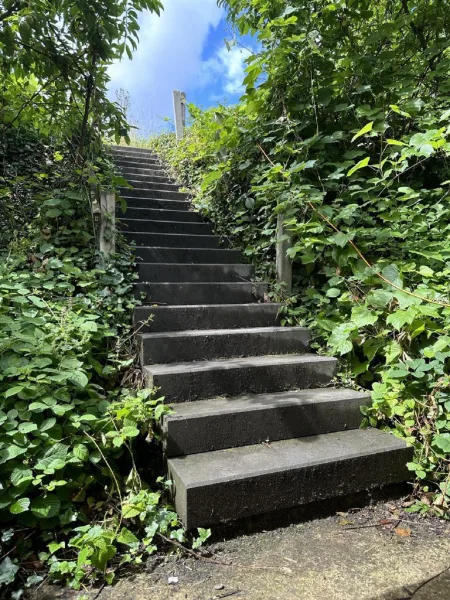 Treppe zum Garten