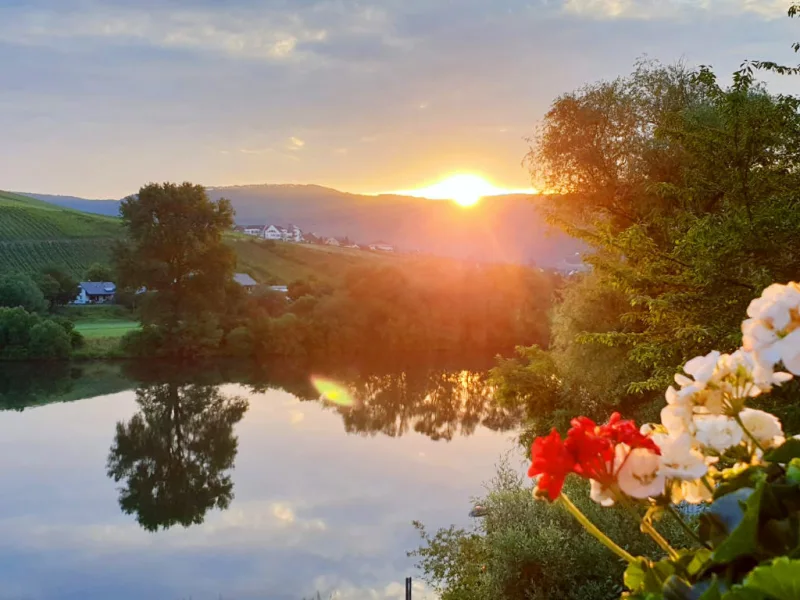 Sonnenaufgang über Bernkastel-Kues