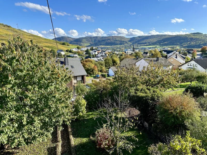 Ausblick ins Moseltal