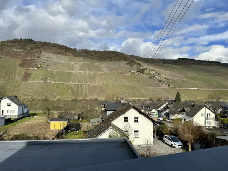 Ausblick Dachterrasse