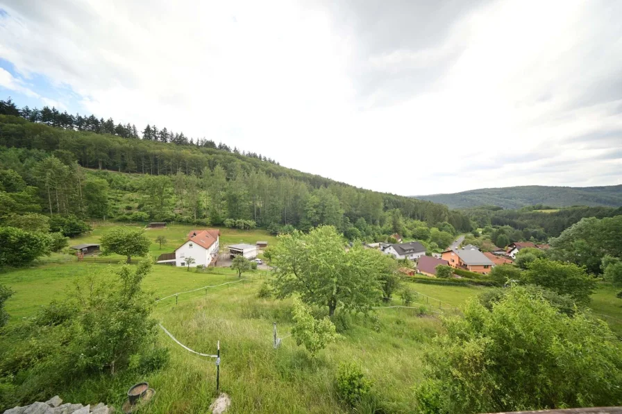 Aussicht Balkone - Haus kaufen in Oberzent - 2 - 3 Fam.-Haus in idyllischer Lage mit viel Potential! Provisionsfrei!