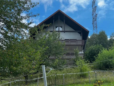 Ansicht Hausrückseite - Haus kaufen in Hirschhorn - 2 - 3 Fam.-Haus in idyllischer Lage mit viel Potential! Provisionsfrei!