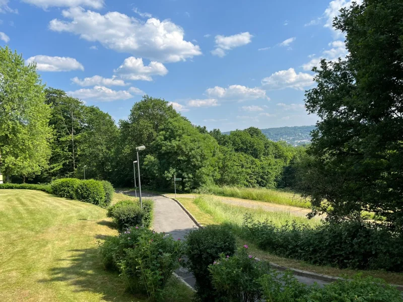 Aussicht vom Balkon