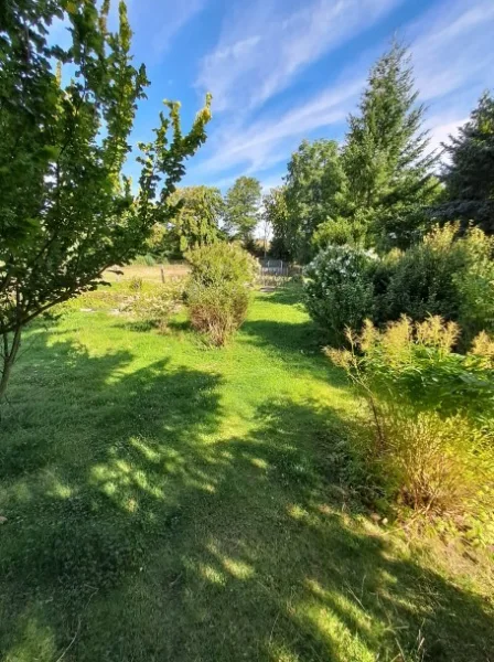 Gartenoase - Haus kaufen in Ritterode / Meisberg - Einfamilienhaus auf traumhaften Grundstück in ruhiger Ortslage. Bestens zur Eigenversorgung. Viel Nebengelass für Tierhaltung und Freizeit.