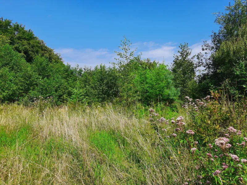  - Grundstück kaufen in Witten - Traumhaftes Grundstück in Witten - Ideal für Selbstversorger oder Projektentwickler