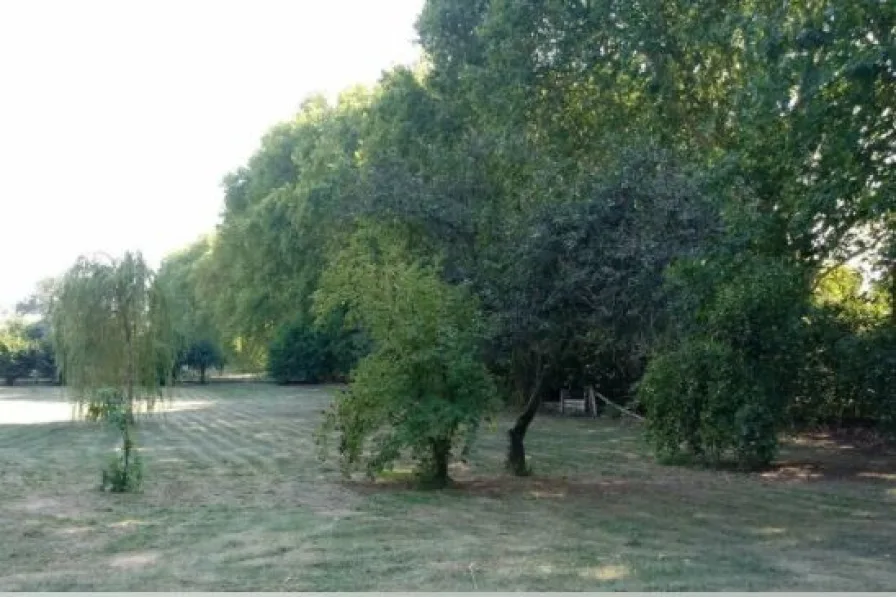 Einblick - Grundstück kaufen in Wiesenburg - Großzügiges Freizeitgrundstück mit aufstehendem Bungalow