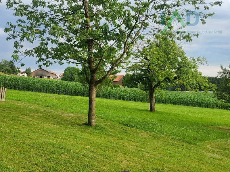  - Gastgewerbe/Hotel kaufen in Lauingen (Donau) - Charmante Pension im Herzen von Lauingen