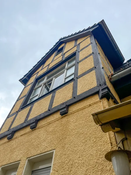 Fassadendetail - Haus kaufen in Gera - Villa in Gera