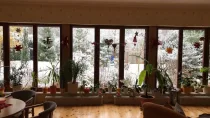 Bodentiefe Fenster ermöglichen einen herrlichen Blick in den Garten