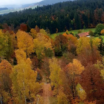  - Grundstück kaufen in Spiegelau - 35.000 m² Grundstück im Zentrum von Spiegelau