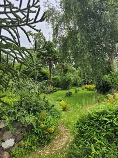 Garten - Haus kaufen in Tönning - saniertes Mehrfamilienhaus im Herzen der Stadt sucht neuen Eigentümer