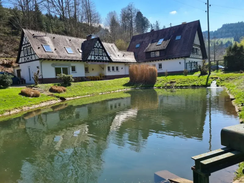 Blick vom Weiher  - Haus kaufen in Oberkirch - Oase der Ruhe: Einzigartige Rendite-Sonderimmobilie mit Badesee, Wald und Bachlauf.