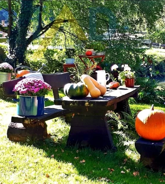 Herbst - Haus kaufen in St. Roman - Provisionsfrei! Eine Besonderheit, Alleinlage für Tierliebhaber oder Selbstversorger nähe Passau in Oberösterreich  zu verkaufen.