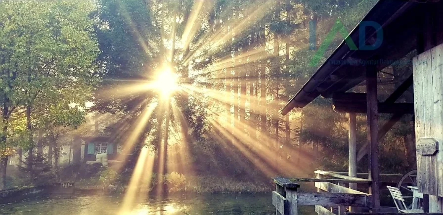 Sonnenaufgang - Haus kaufen in Passau - Stop! Traumobjekt in  Alleinlage Nähe Passau in Oberösterreich zu verkaufen.