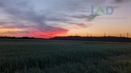 Titelbild  - Land- und Forstwirtschaft kaufen in Stadland / Norderschwei - Agri-PV auf max. 25.000 m² eines landwirtschaftlichen Betriebes mit 4,2 HektarPriviligiertes Bauen  -  nach § 35