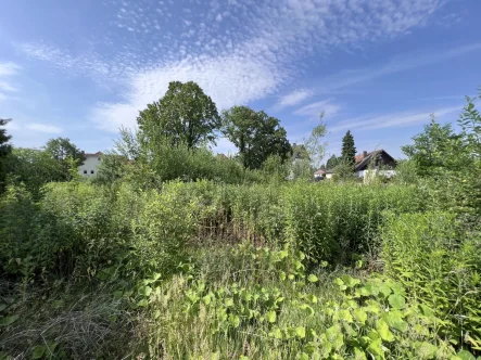 Luftbild - Grundstück kaufen in Suthfeld - Volloll erschlossenes Baugrundstück in zentraler Ortslage Bad-Nenndorf/ Suthfeld