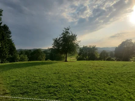  - Grundstück kaufen in Oberkrämer / Bötzow - Oberkrämer - Bötzow Voll erschlossenes ca. 5800 m² großes Grundstück, mit ca. 2000m² Baufläche.Wer zuerst kauft, baut zuerst !