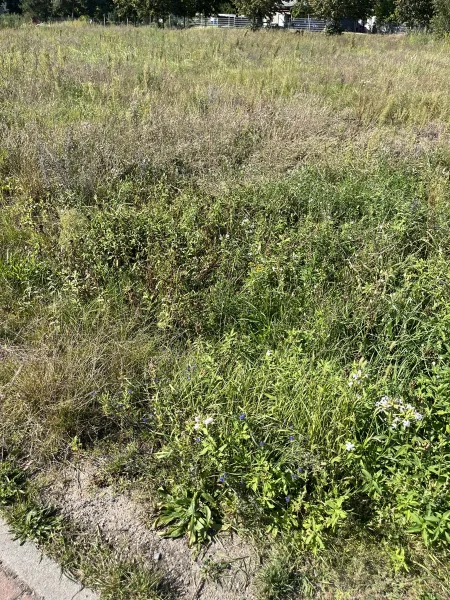 Bauland - Grundstück kaufen in Grünefeld / Schönwalde - Glien - Bauen jetzt sofort möglich !Raus aus  Berlin - Richtung Nauen. Grünefeld Schönwalde - Glien Bauland - für Einfamilien- & Reihenhaus verfügbar.