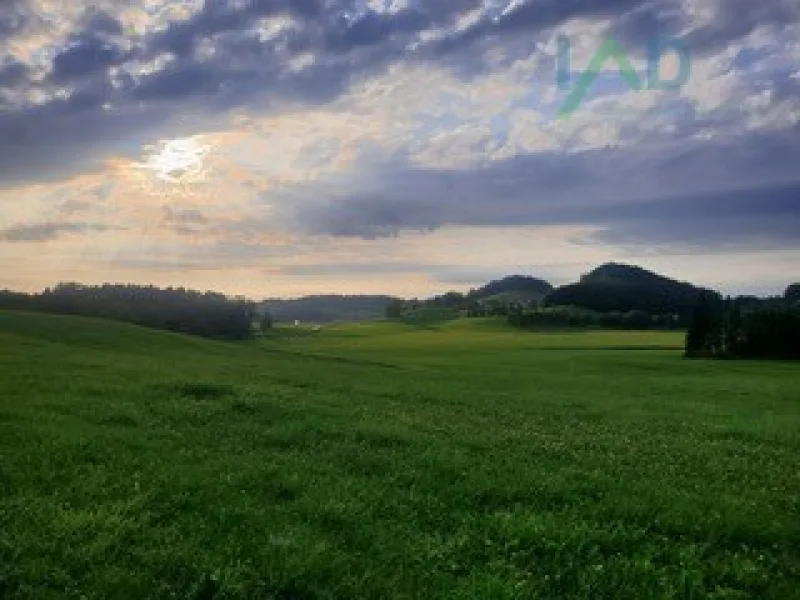  - Land- und Forstwirtschaft kaufen in Schmalfeld - ruhig gelegener Hof bietet viele Möglichkeiten