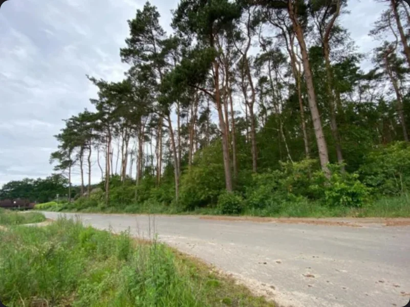  - Grundstück kaufen in Barum - Baugrundstück in idyllischer Lage