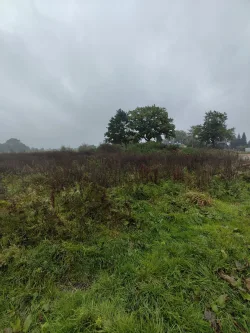  - Grundstück kaufen in Winsen (Luhe) - Baugrundstück in idyllischer Lage nahe Winsen an der Luhe