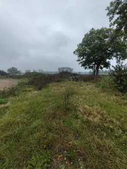  - Grundstück kaufen in Winsen (Luhe) - Baugrundstück in Naturlage