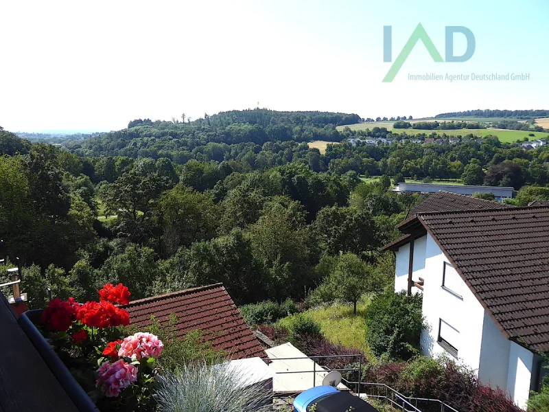 Ausblick vom Balkon