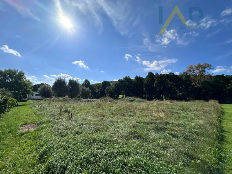 Ansicht - Grundstück kaufen in Stadtilm / Behringen - Großes ruhiges Grundstück im Grünen inkl. Bodenplatte und Bauplan.