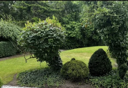  - Haus kaufen in Luckau - Gartenhaus mit Baugrundstück