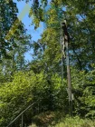 Waldstück / Gipfelkreuz