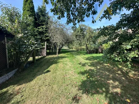 Garten - Haus kaufen in Sondershausen - Sanierungsbedürftiges Haus mit großem Grundstück und Ausbaupotential