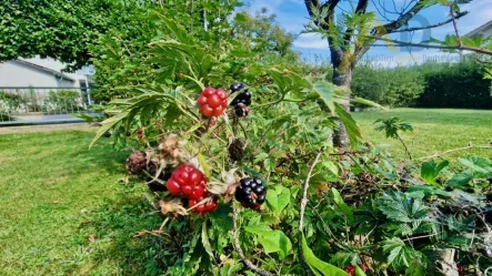 Garten 1 - Haus kaufen in Töging am Inn - Charmantes 2-Familienhaus mit großem Garten in Töging am Inn