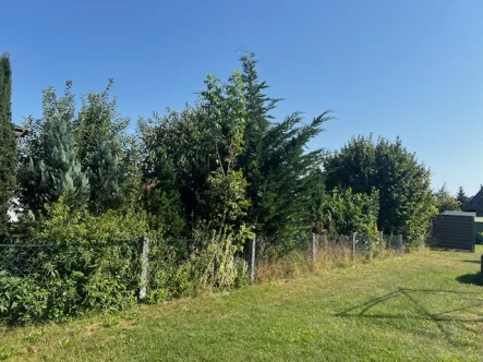  - Grundstück kaufen in Storkow (Mark) / Görsdorf bei Storkow - Idyllisches Baugrundstück im Naturparadies Dahme-Heideseen