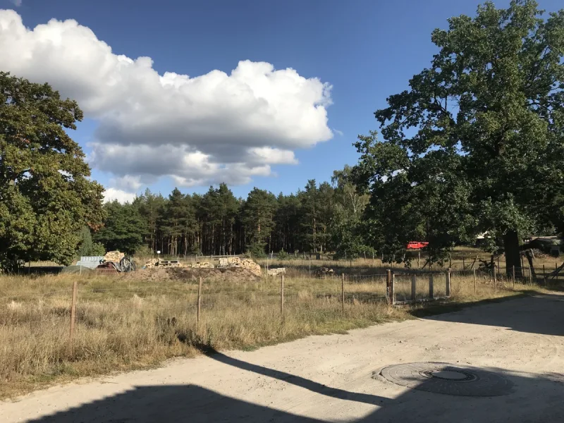  - Grundstück kaufen in Planebruch - 824 m² Natur pur: Baugrundstück in bester Lage für Ihr Traumhaus