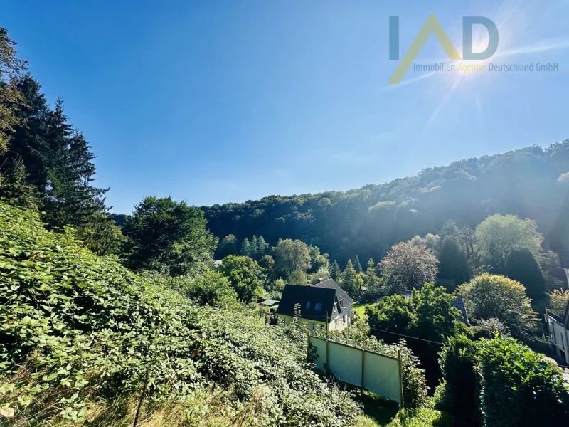 Aussicht - Grundstück kaufen in Solingen / Burg an der Wupper - EINZIGARTIG - Traumhafter Ausblick in besonderer Lage!