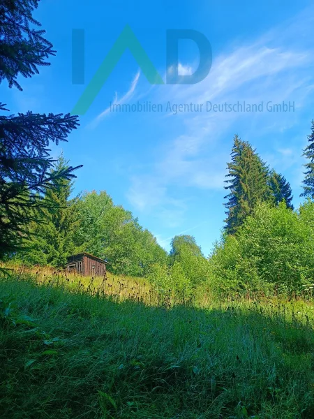 Grundstück - Haus kaufen in Haidmühle / Marchhäuser - Haus im Trockenrohbauzustand mit ca. 7000 m² Grundstück! Absolut ruhige Randlage inmitten unberührter Natur!