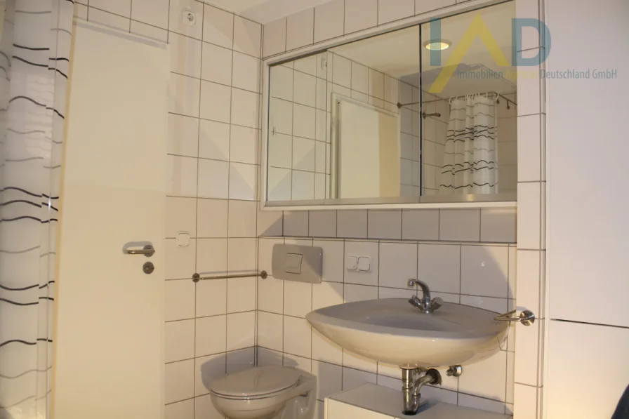 Toilettenschrank, WC, Waschbecken - Kopie