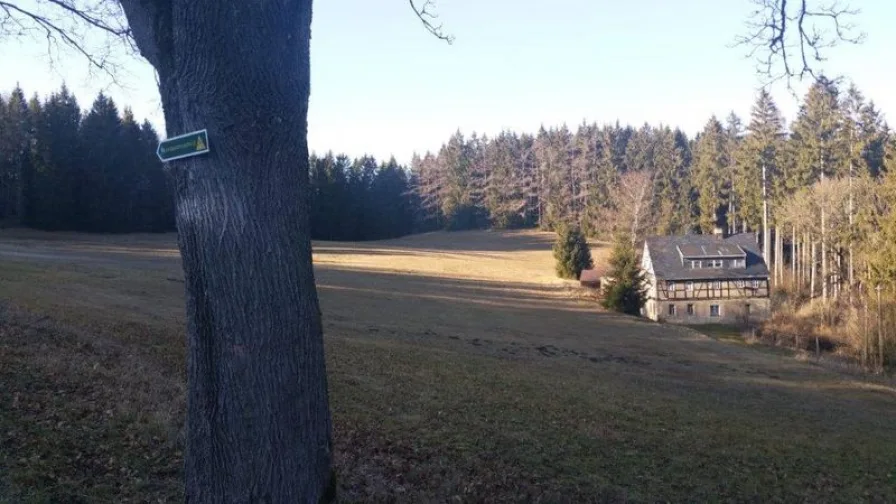 Titelbild - Haus kaufen in Eibenstock - Grundstück in selten schöner Alleinlage mit unsaniertem Fachwerkhaus