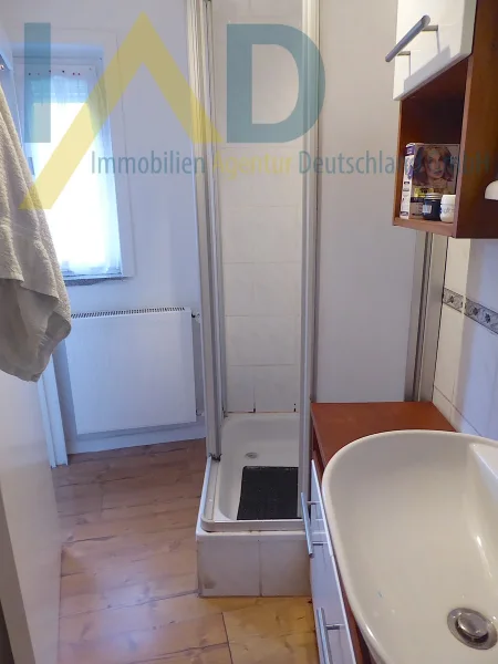 Tageslichtbad mit Dusche hintere Wohnung