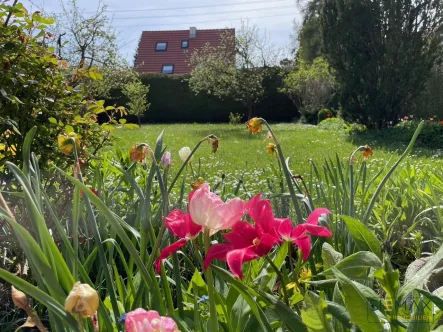  - Grundstück kaufen in Germering - Sie sind am Zug! Sanieren oder Neubau!Grundstück mit Altbestand in Germering.