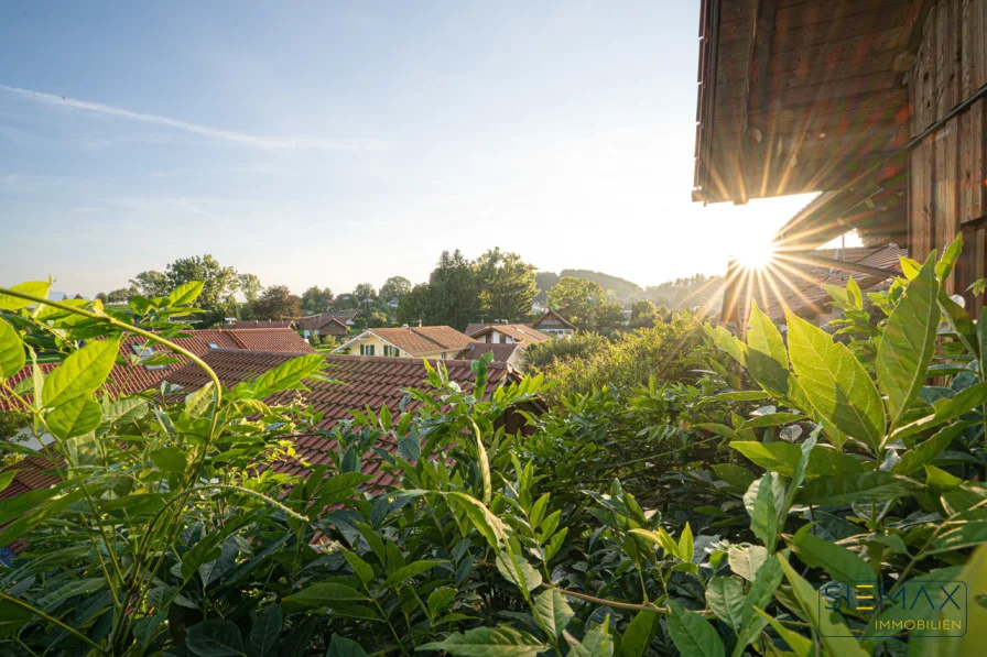 Blick in den Sonnenuntergang