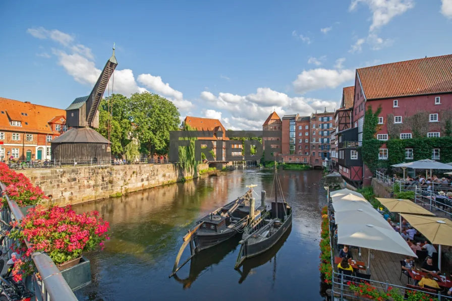 Lüneburg Stint