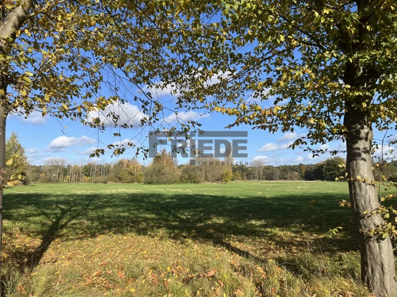 Grundstück - Grundstück kaufen in Bienenbüttel - *Grundstück* Wohnfläche von ca. 2.000 m² möglich!