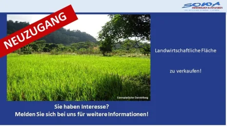  - Grundstück kaufen in Syrgenstein - Großzügige Landwirtschaftsfläche oder Ausgleichsfläche zu verkaufen in Syrgenstein - Ein Objekt von SOWA Immobilien & Finanzen Ihrem Immobilienprofi vor Ort