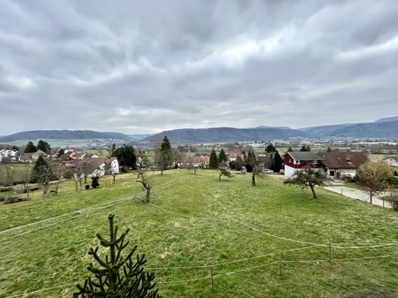 Ausblick ins Grüne