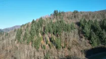 Ausblick vom zukünftigen Laubengang (Treppenhaus)